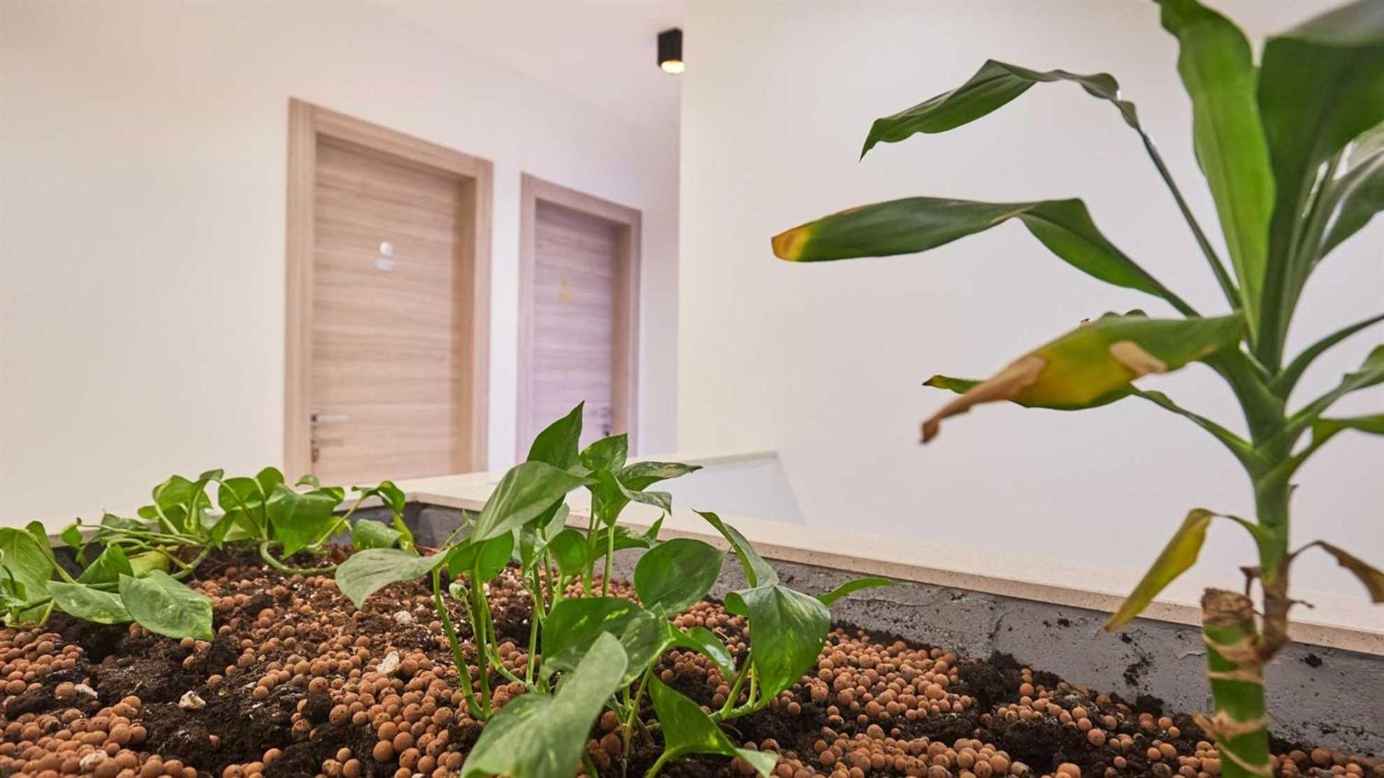 Boutique Garden Dubrovnik